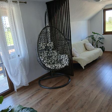 Casa Loredana Cîrţişoara Exterior foto