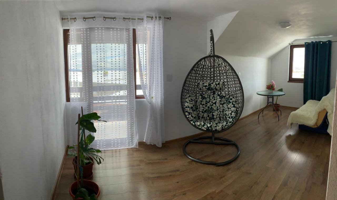 Casa Loredana Cîrţişoara Exterior foto