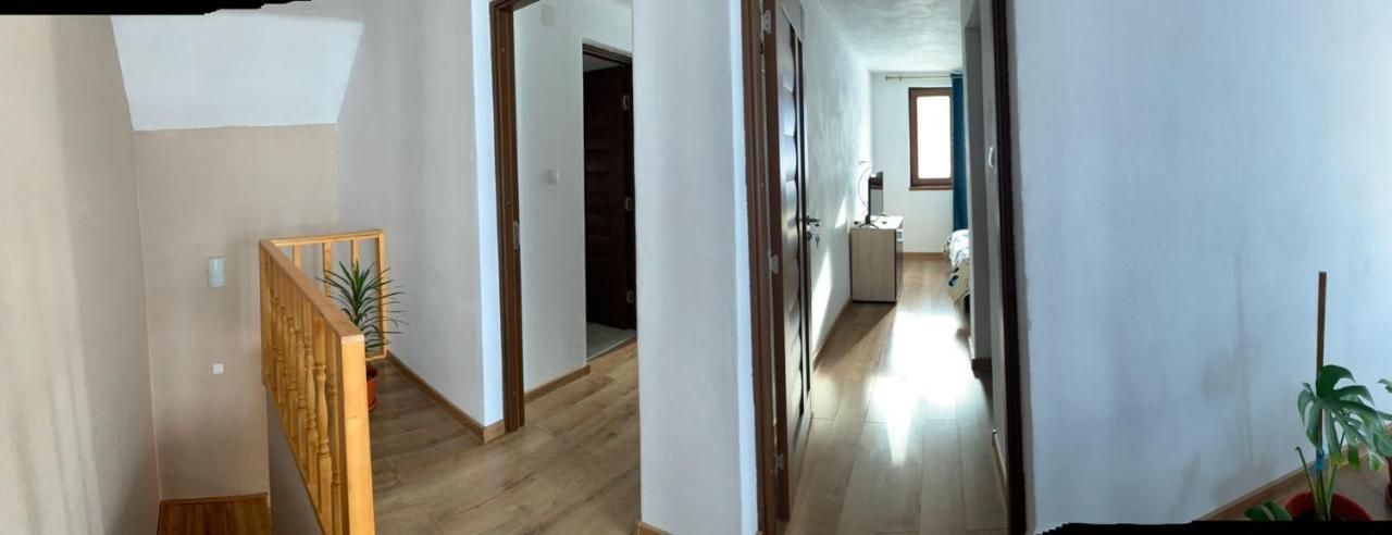 Casa Loredana Cîrţişoara Exterior foto